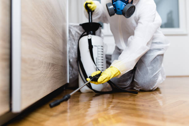Pest Control Cost in Long Creek, IL