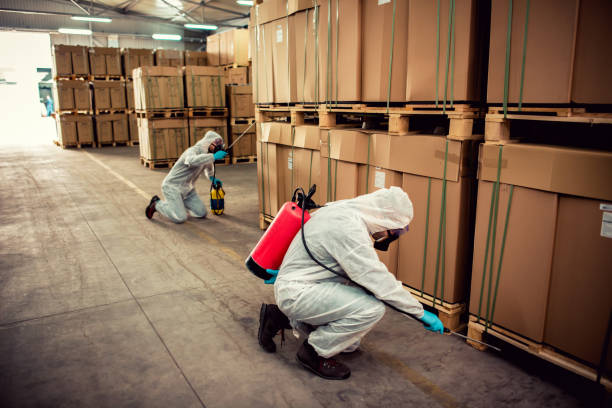 Best Pest Inspection Near Me  in Long Creek, IL