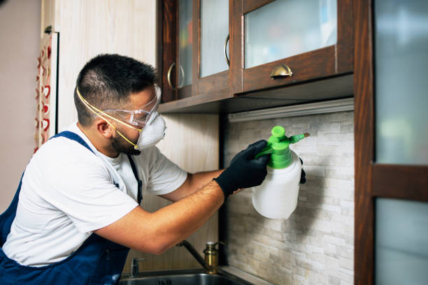 Best Rat Extermination Near Me  in Long Creek, IL
