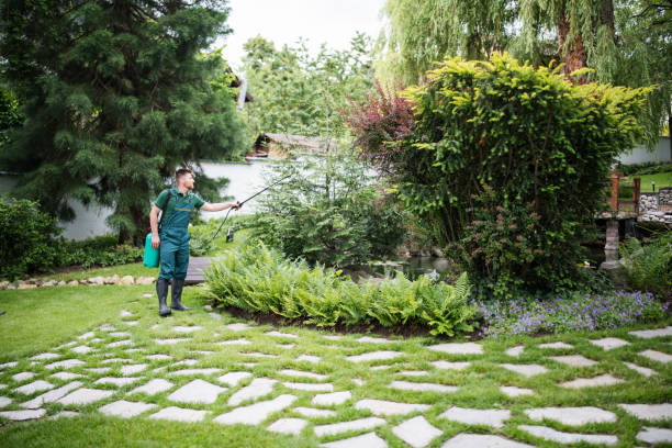 Best Insect Control  in Long Creek, IL