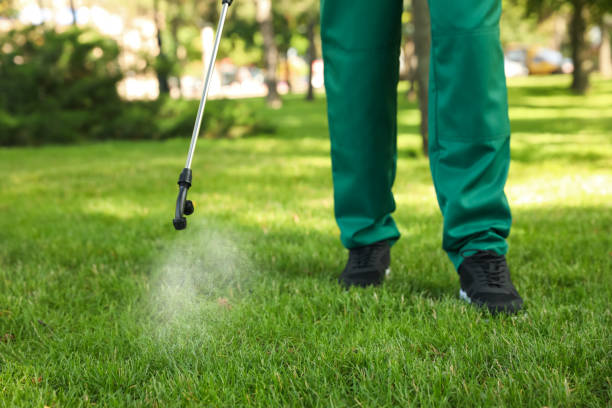 Best Bed Bug Extermination  in Long Creek, IL