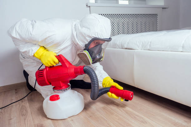 Best Affordable Pest Control Services  in Long Creek, IL