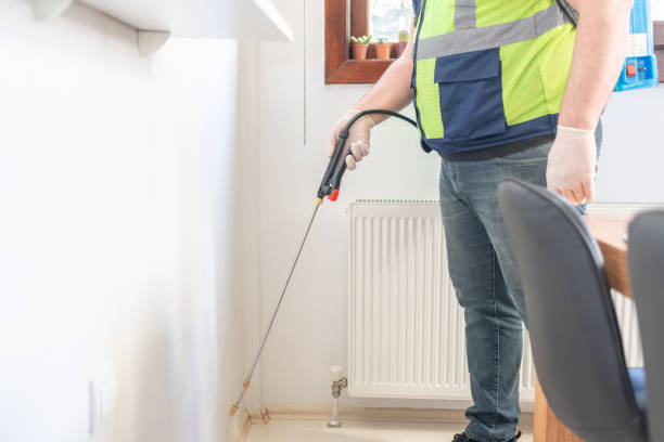 Best Emergency Pest Control  in Long Creek, IL