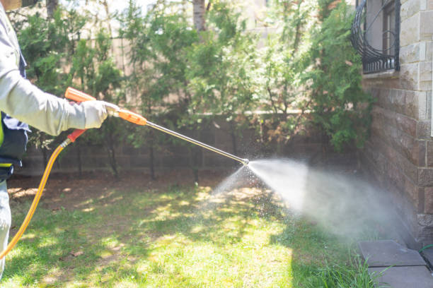Best Best Pest Control Companies  in Long Creek, IL