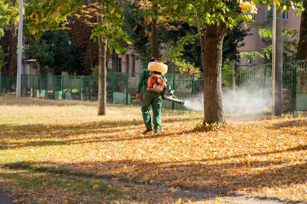 Best Residential Pest Control  in Long Creek, IL