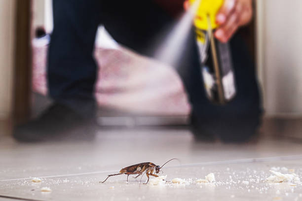 Pest Control for Restaurants in Long Creek, IL