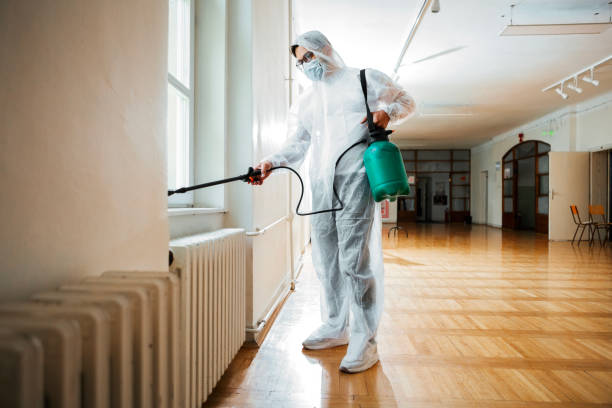 Reliable Long Creek, IL Pest Control Solutions