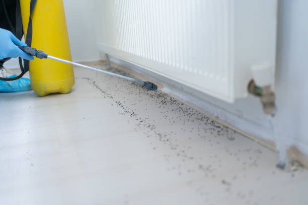  Long Creek, IL Pest Control Pros