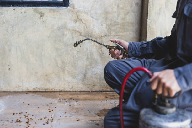 Best Pest Control Cost  in Long Creek, IL