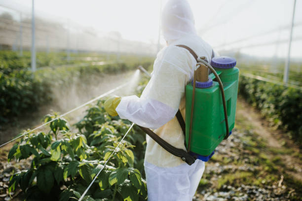 Best Termite Control Services  in Long Creek, IL